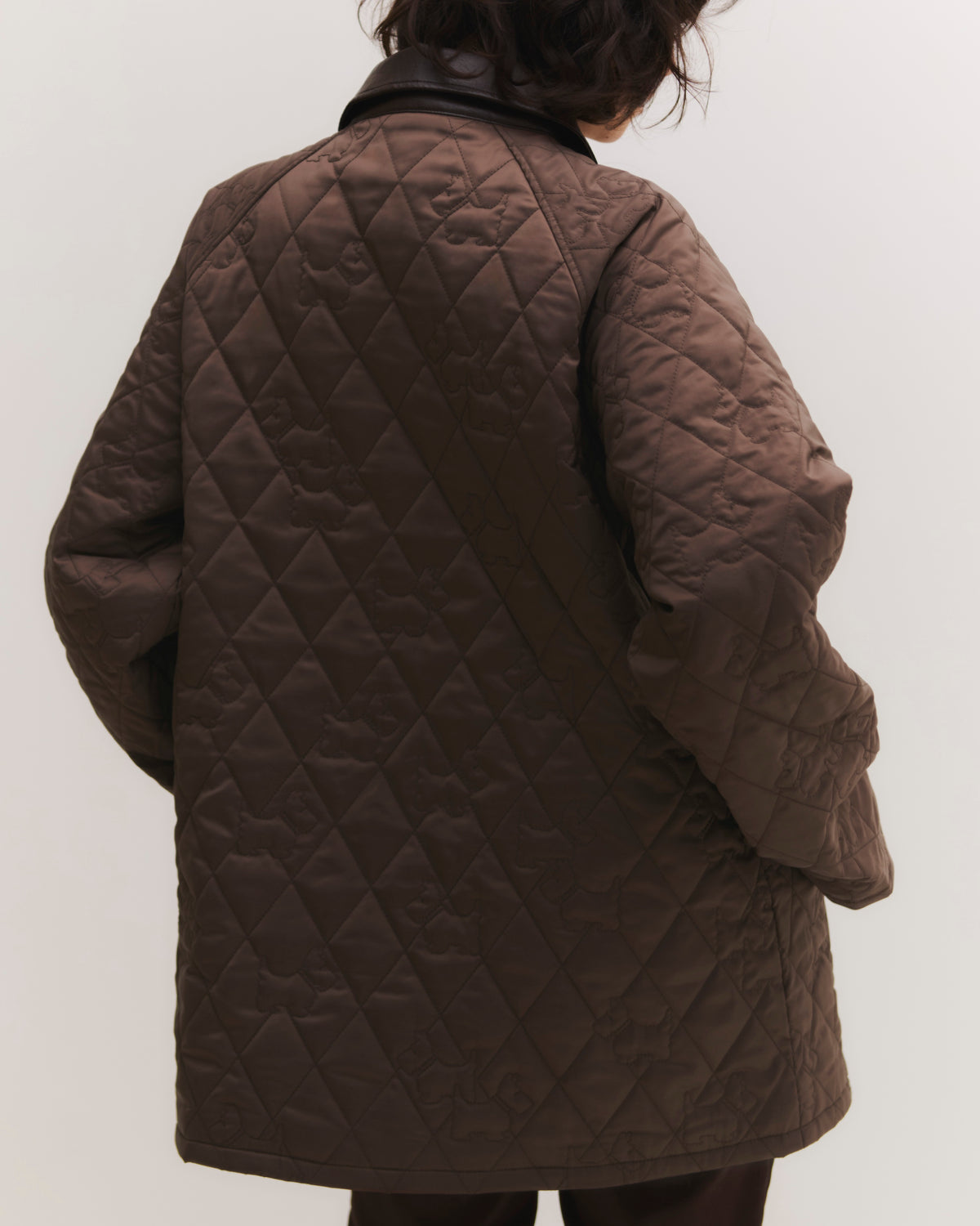 Achi-Cochi schnauzer quilted coat