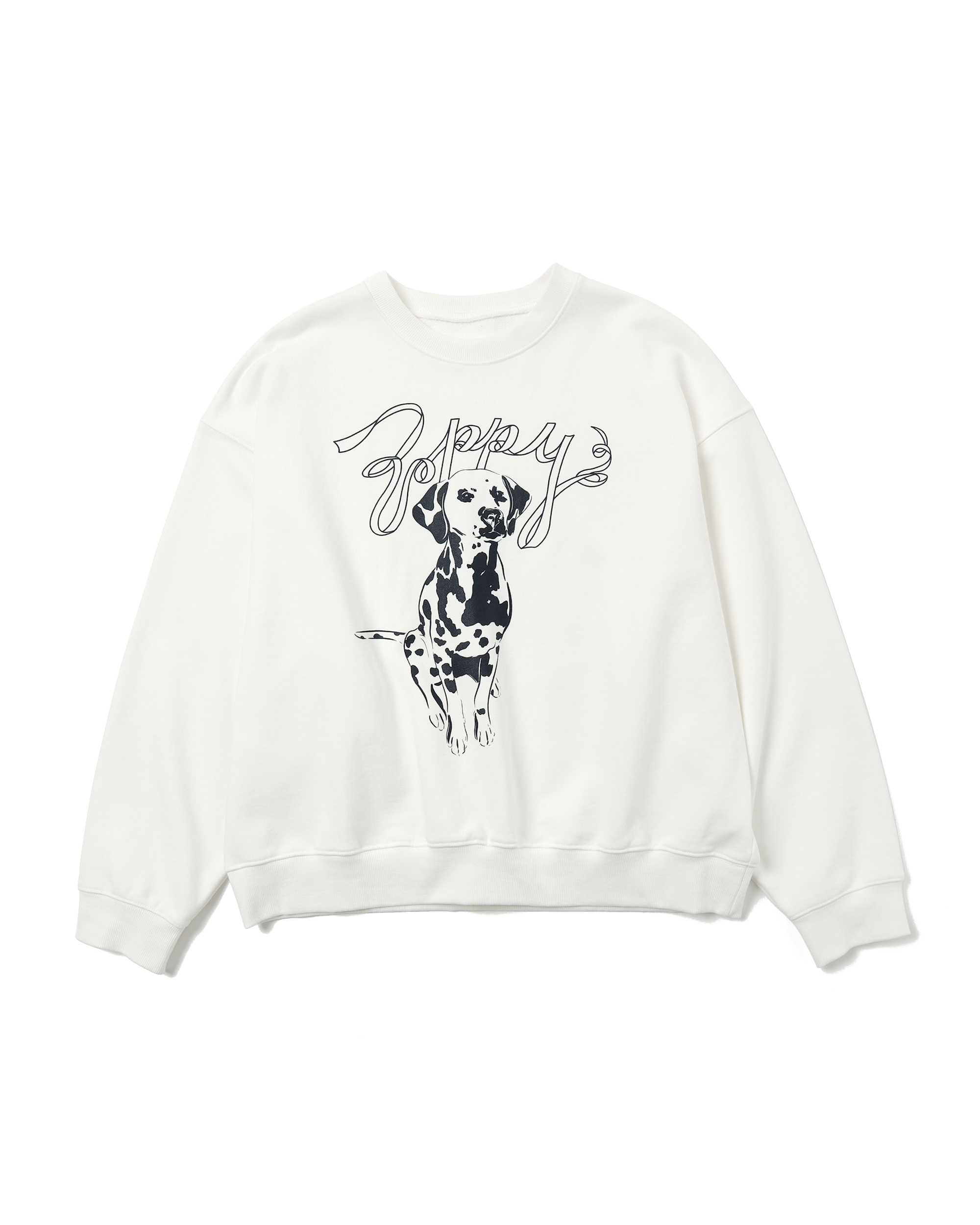 Dalmatian sweatshirt