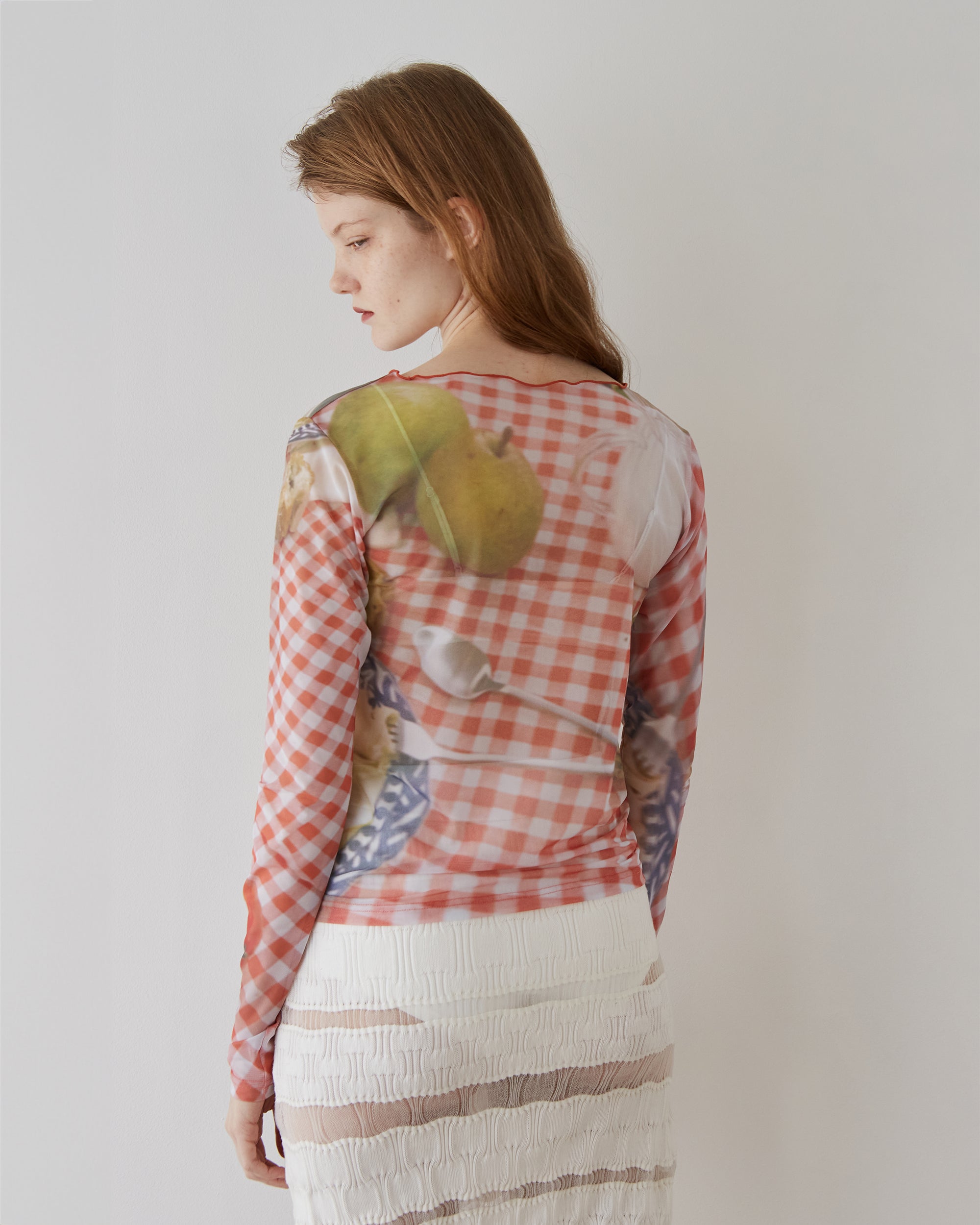 Picnic see-through tops (round neck)
