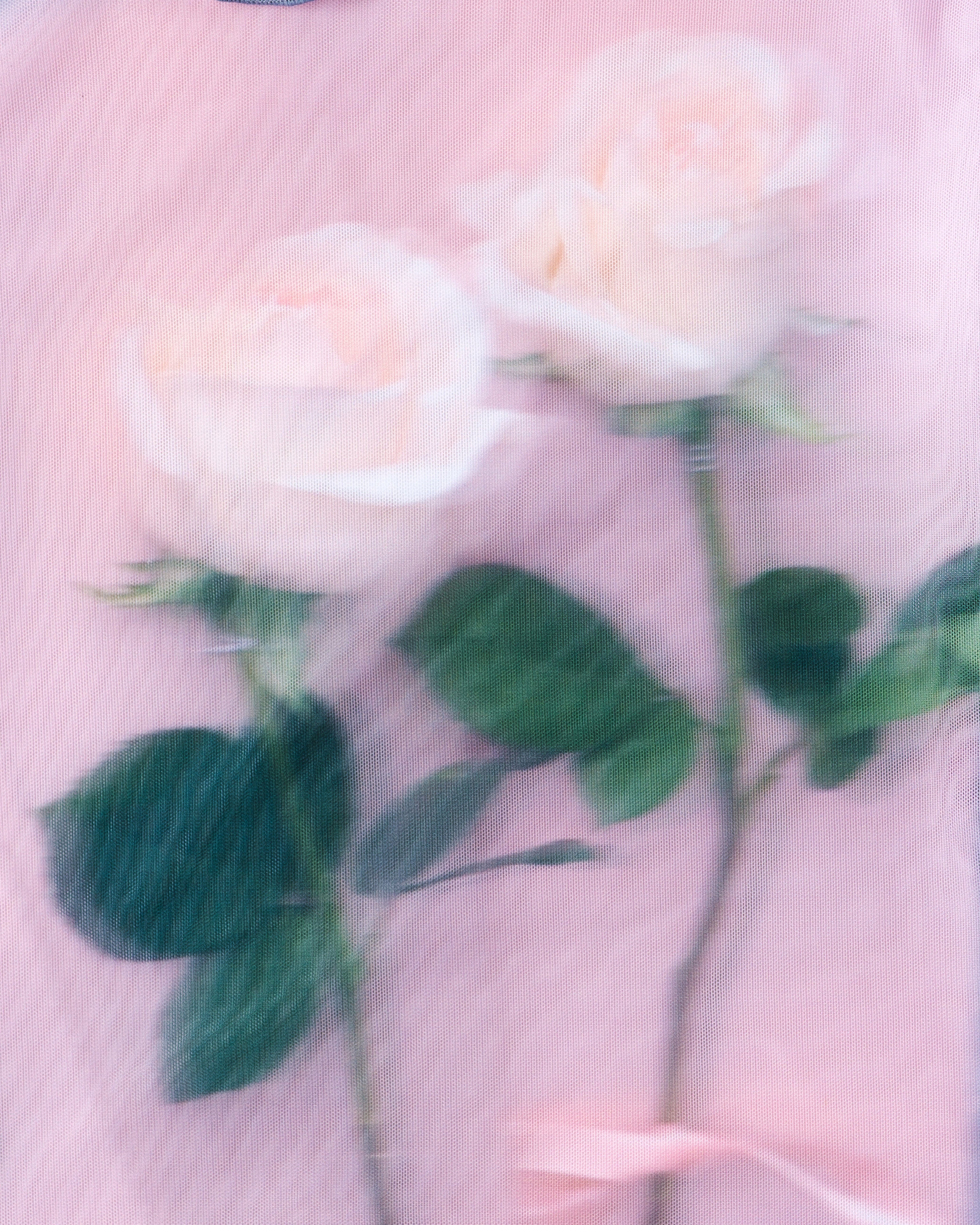 Photo ROSES Pink see-through tops (round neck)