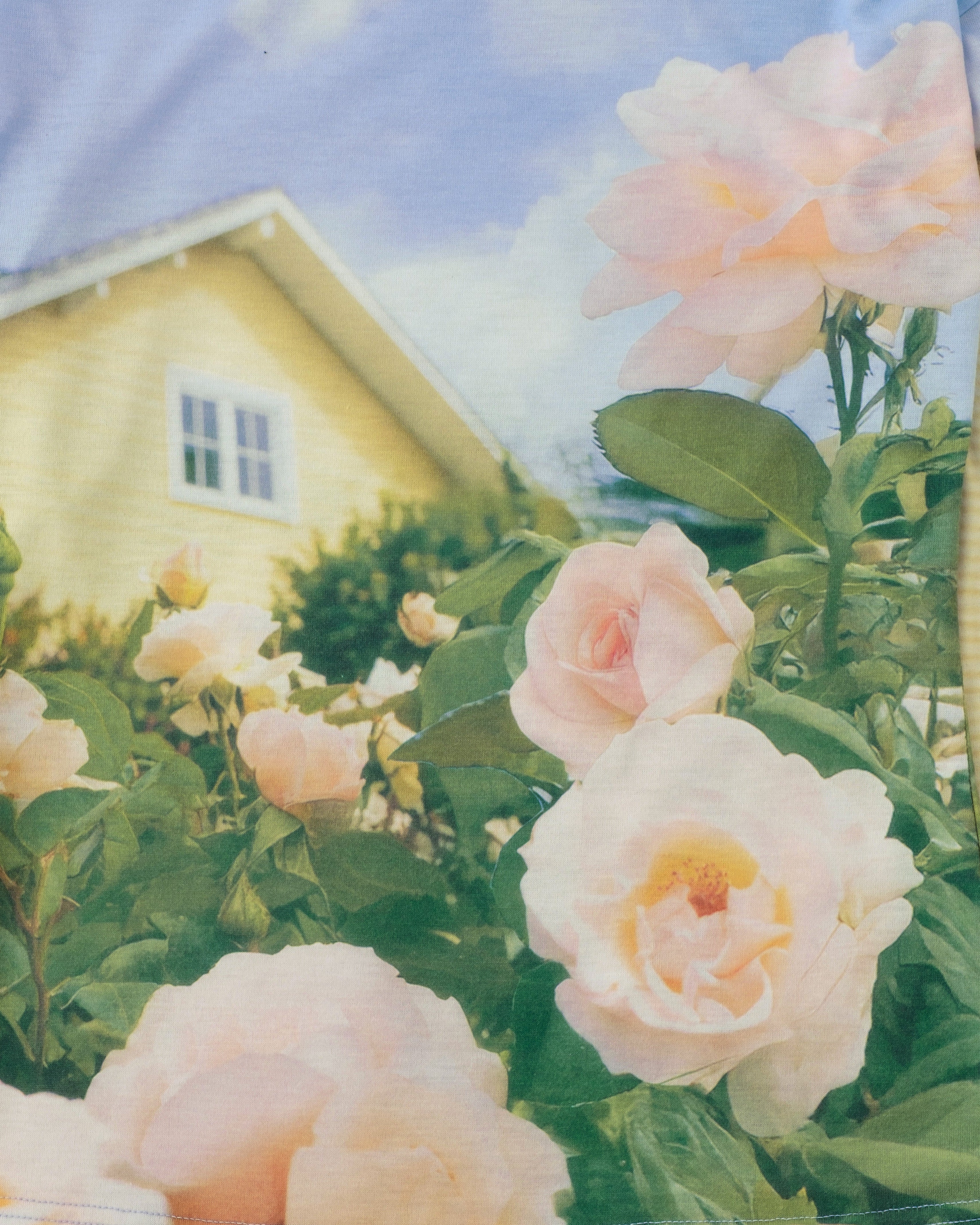 Captured scenery top