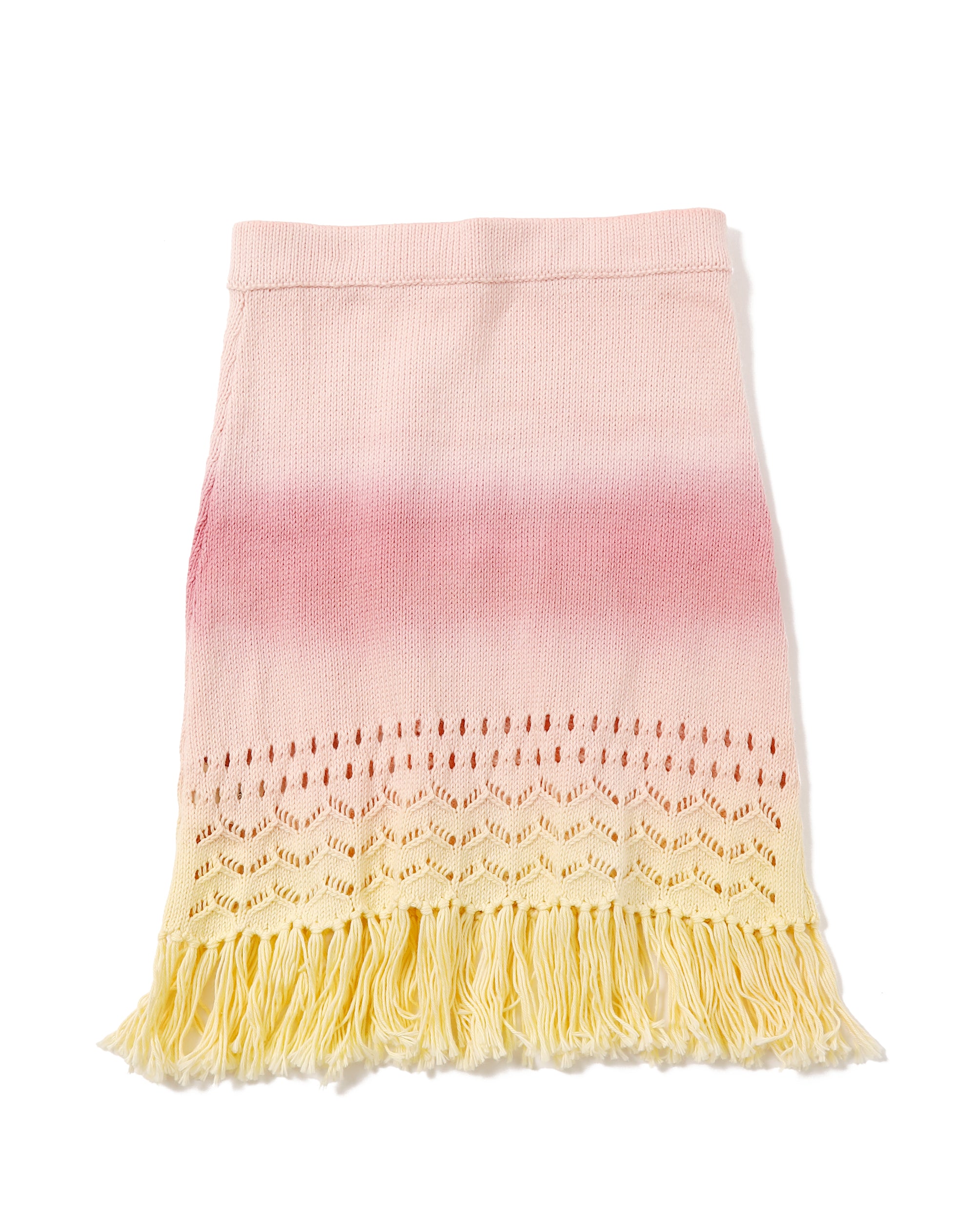 <b>AYNI</b><br>PINTE skirt