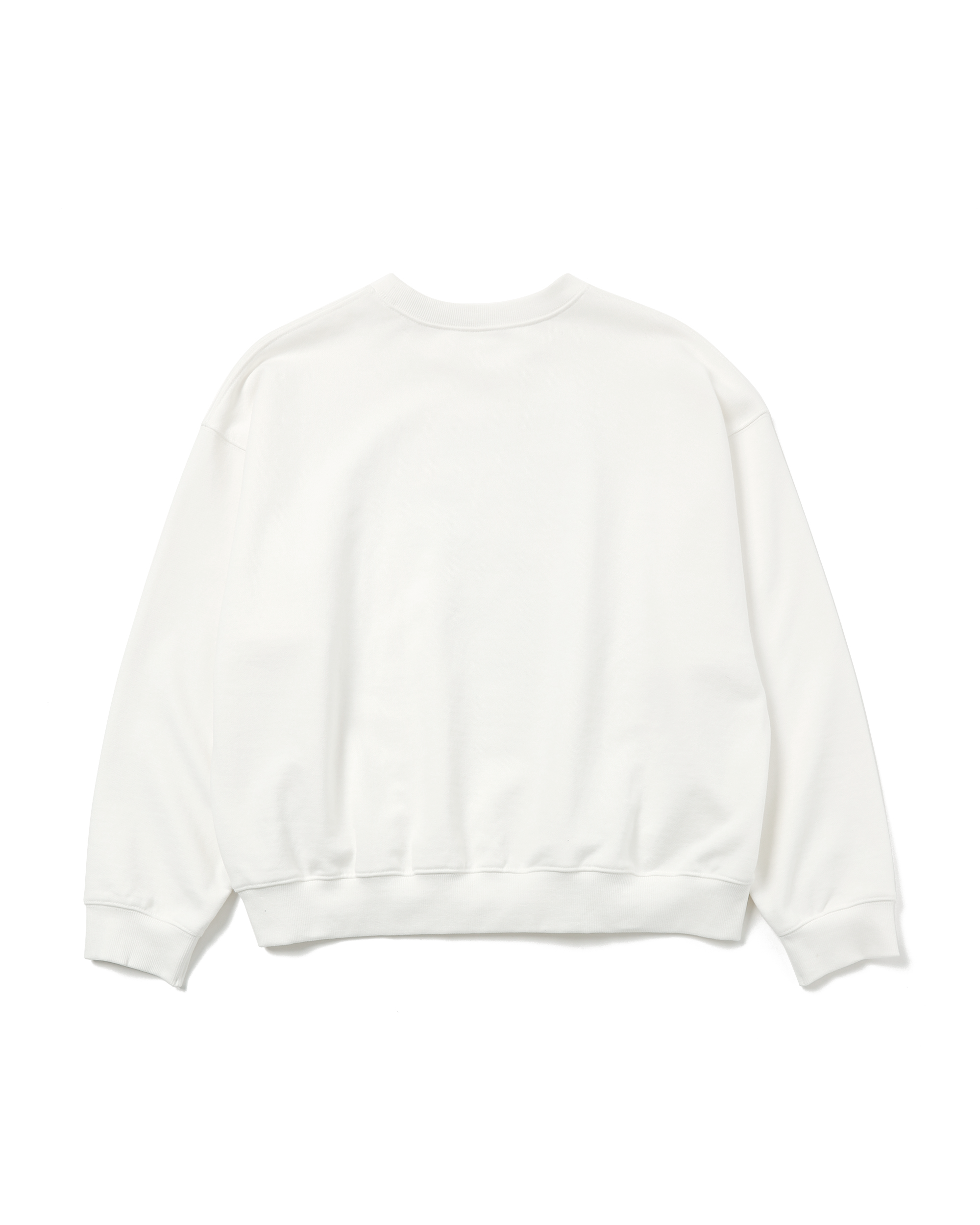 Dalmatian sweatshirt