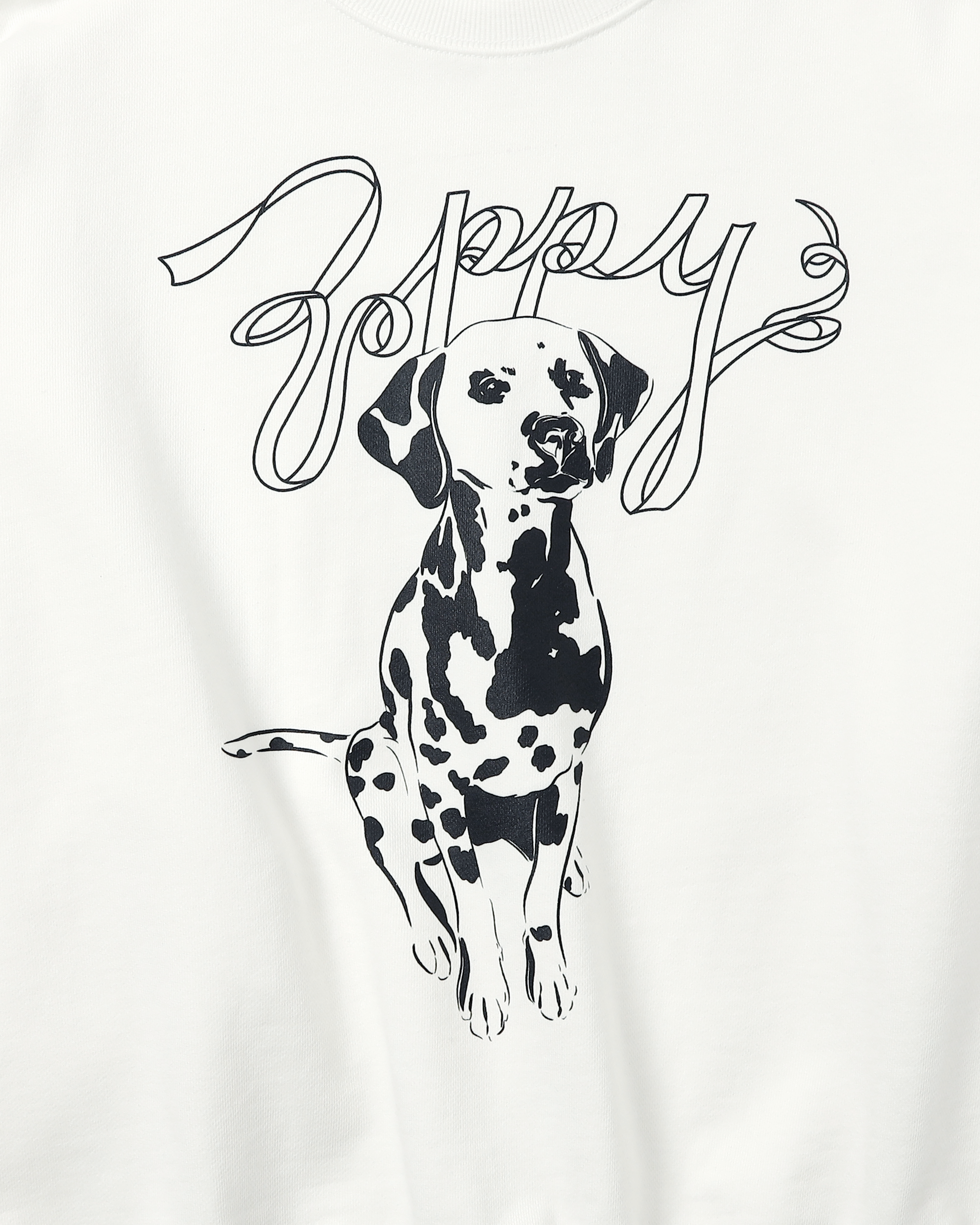 Dalmatian sweatshirt