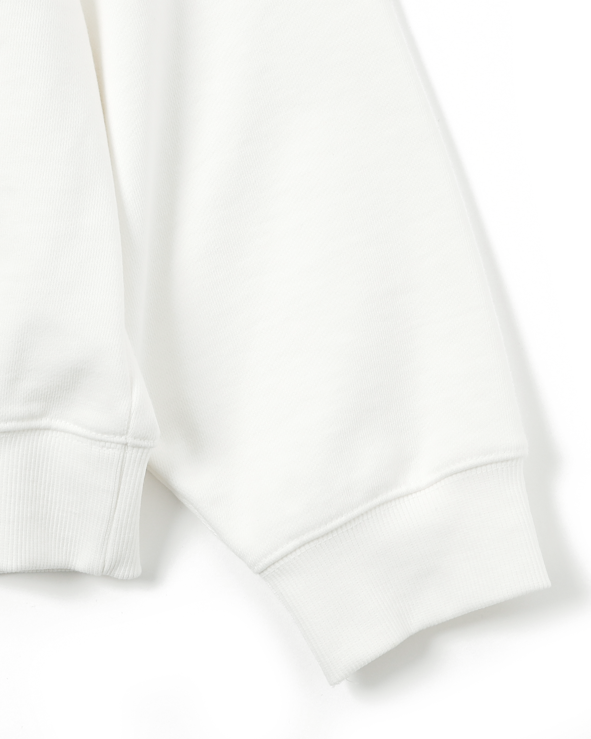 Dalmatian sweatshirt