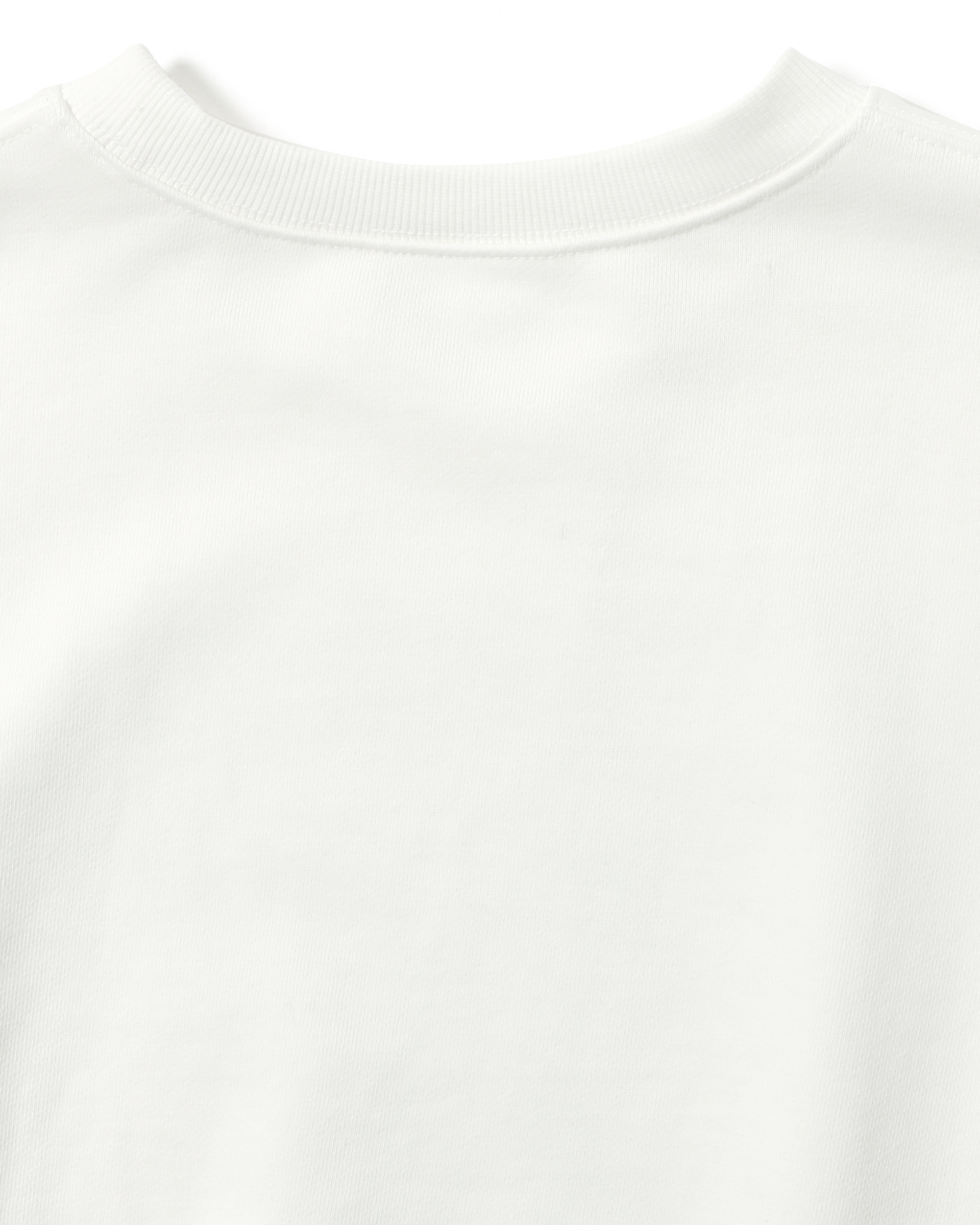 Dalmatian sweatshirt