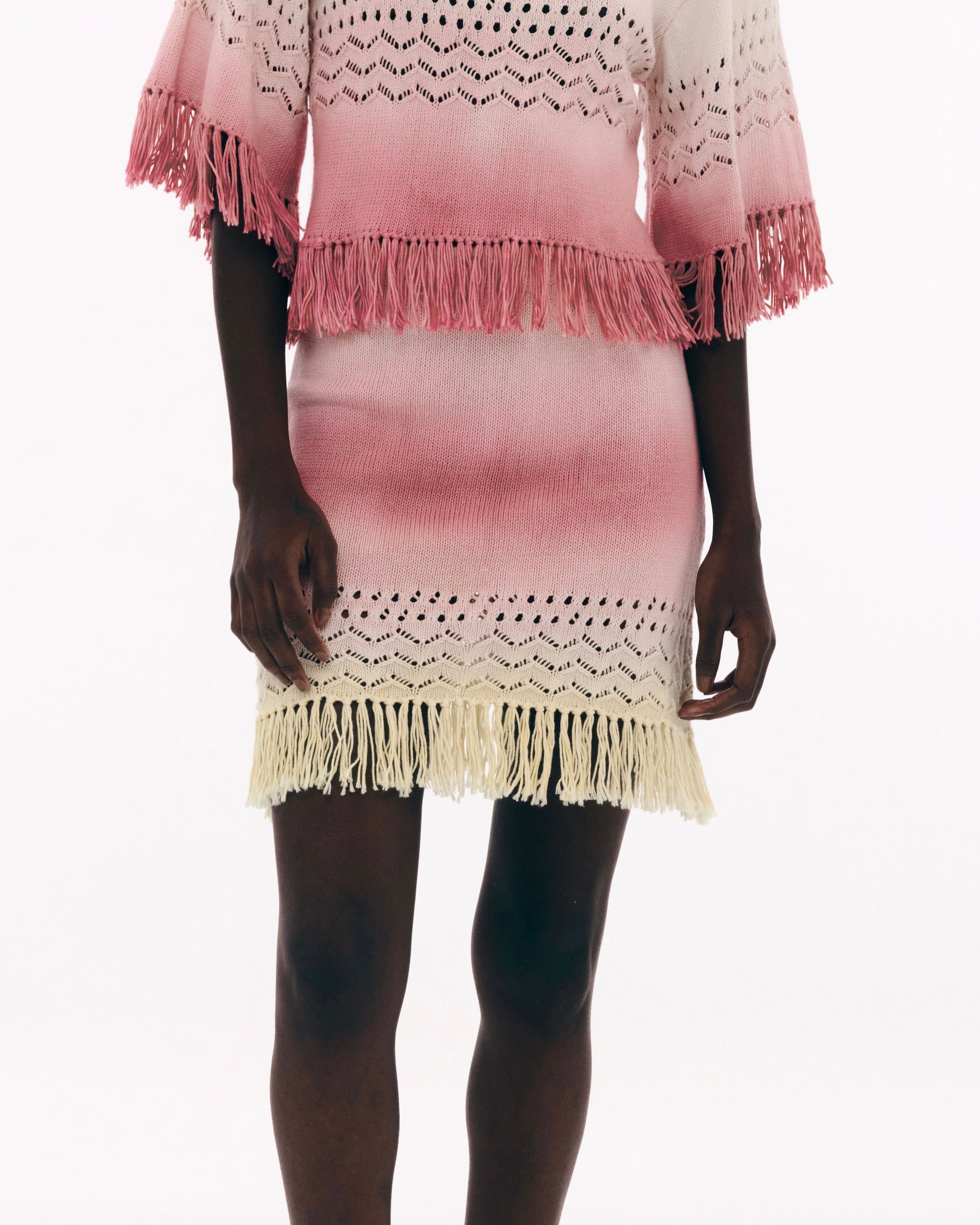 <b>AYNI</b><br>PINTE skirt