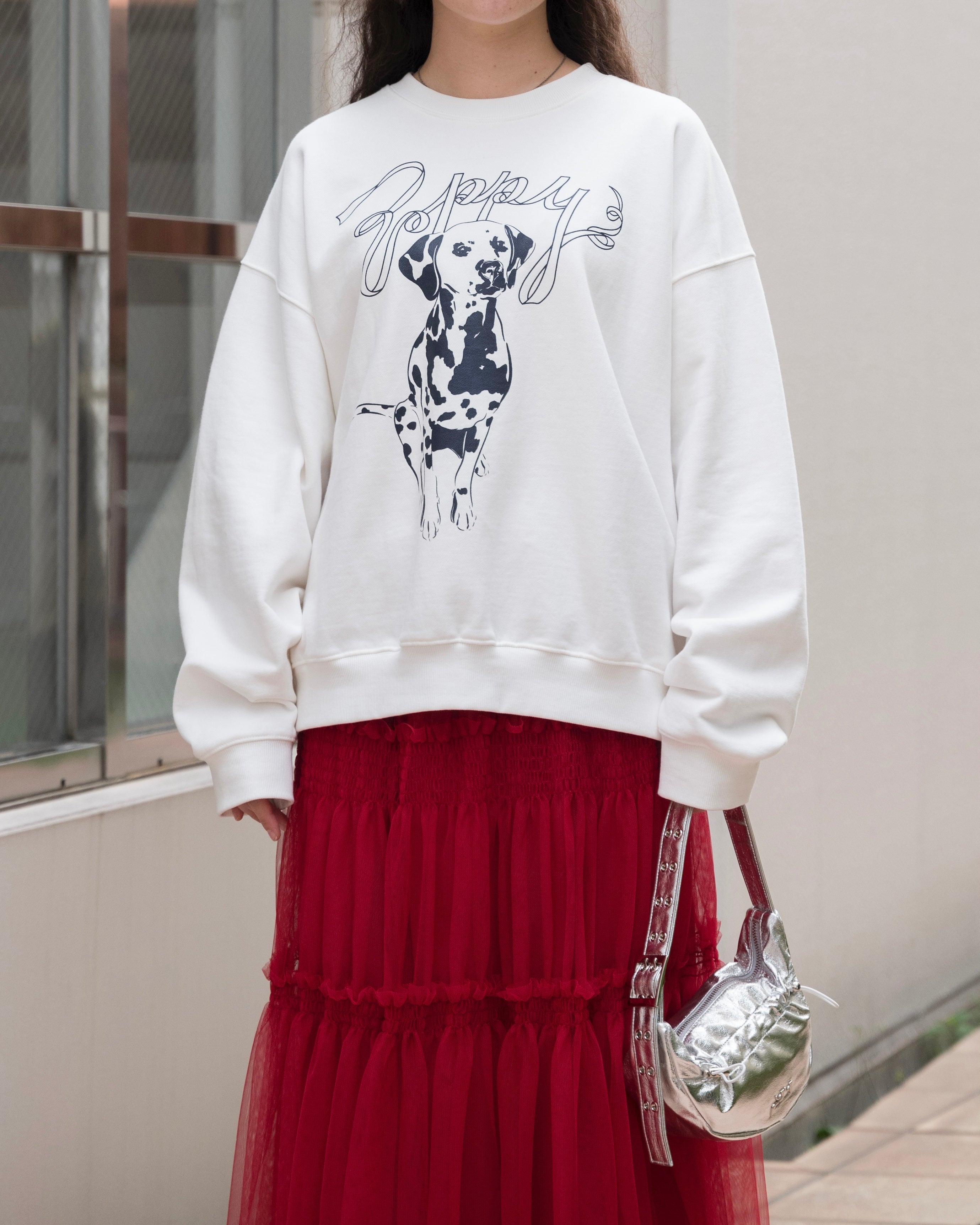 Dalmatian sweatshirt