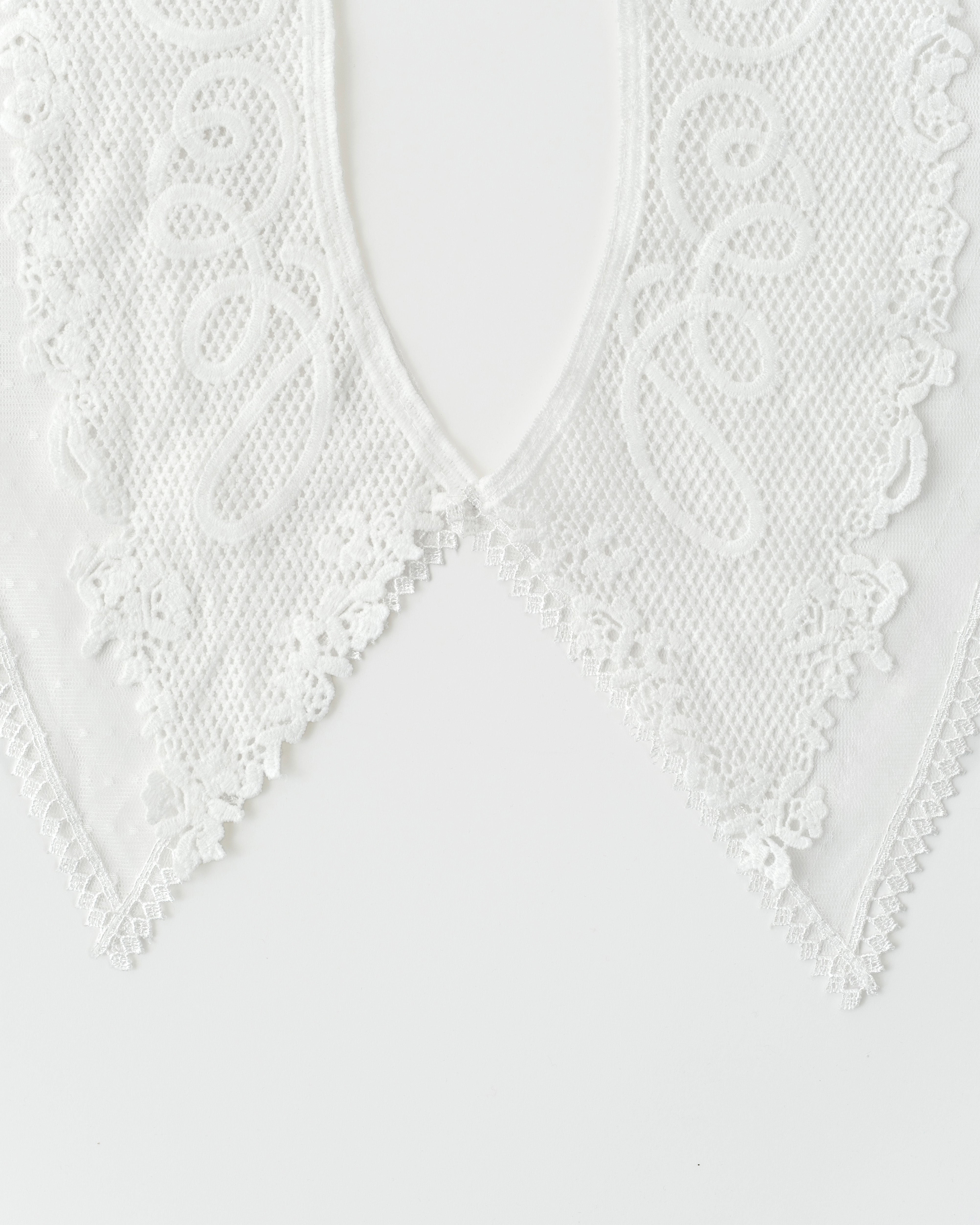 POPPY 레이스 칼라