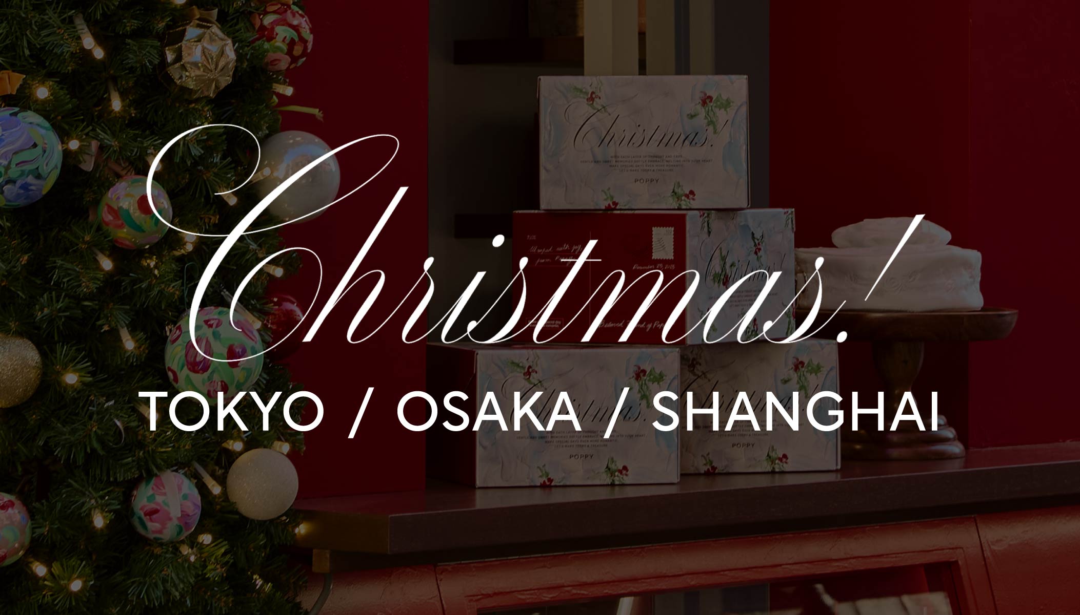 POPPY Christmas 2025