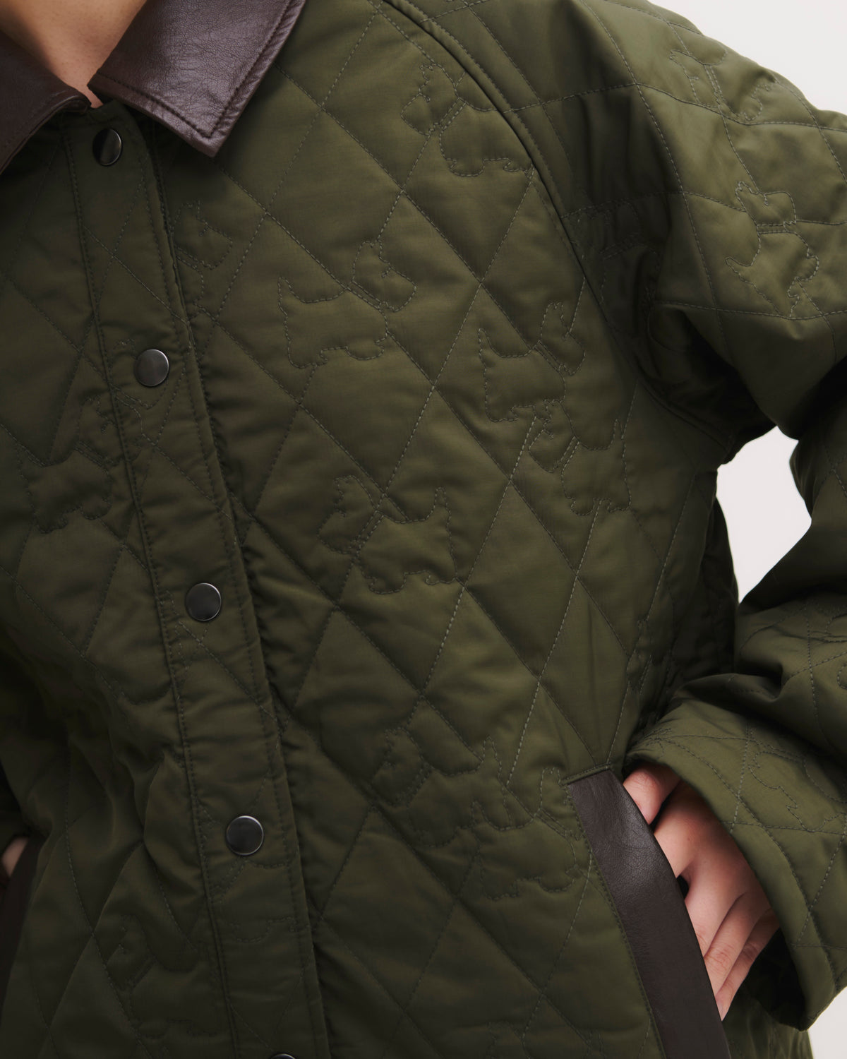 Achi-Cochi schnauzer quilted coat