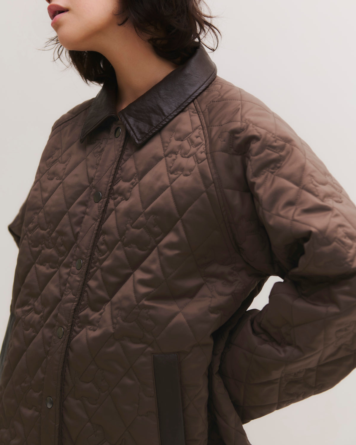 Achi-Cochi schnauzer quilted coat