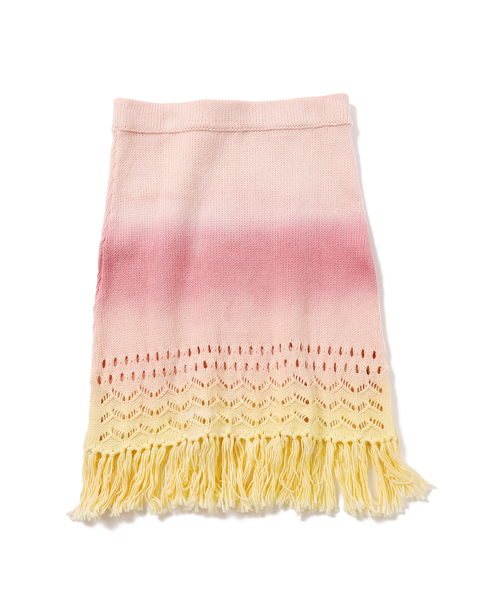 <b>AYNI</b><br>PINTE skirt