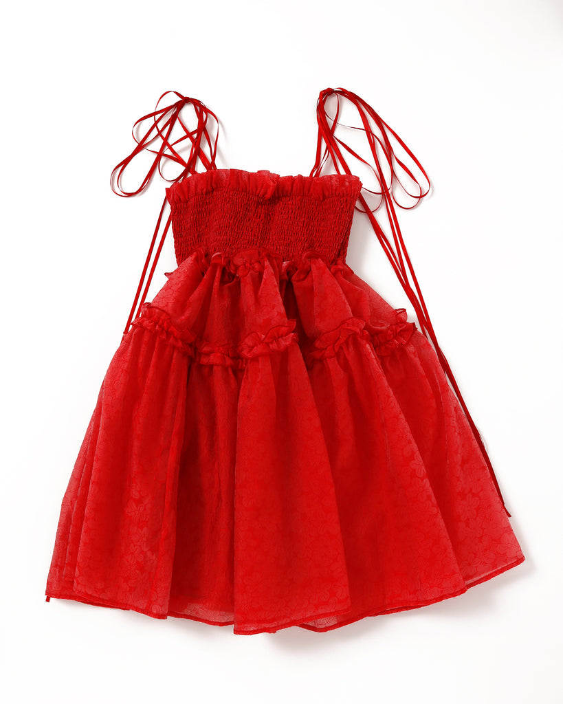 DREAM Sister JaneCalla Organza Mini Dress – POPPY