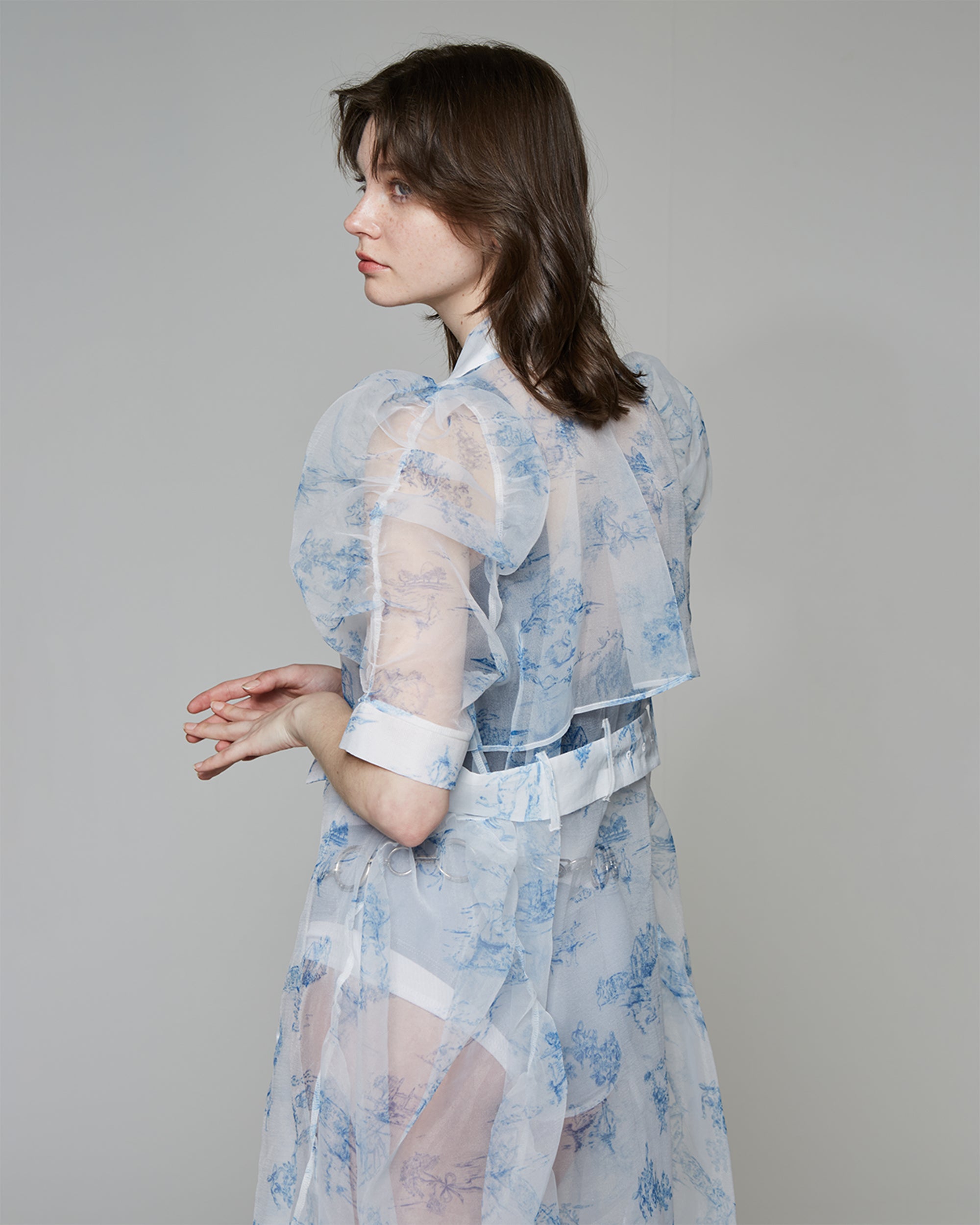 Toile de Jouy organdy dress coat dress