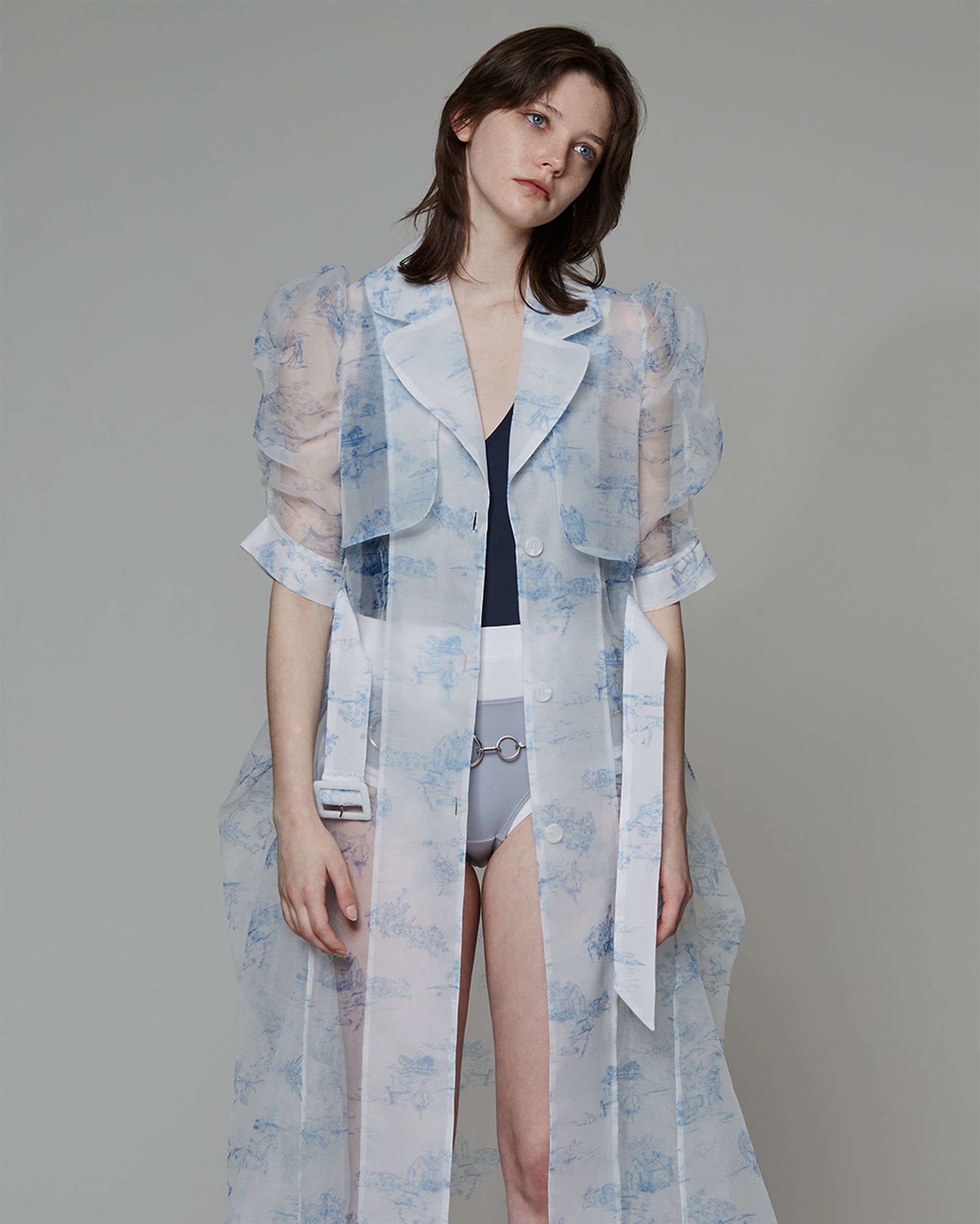 Toile de Jouy organdy dress coat dress