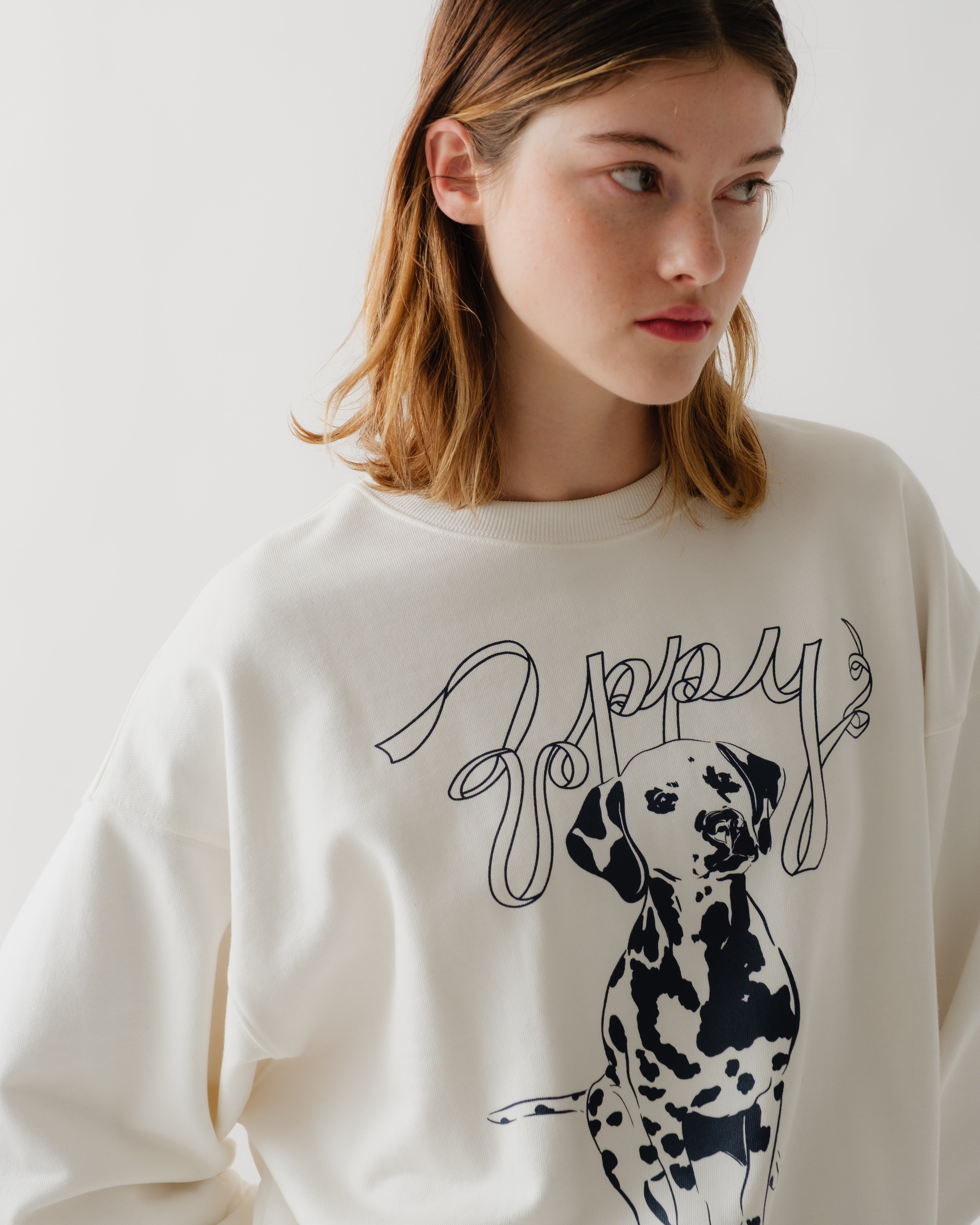 Dalmatian sweatshirt