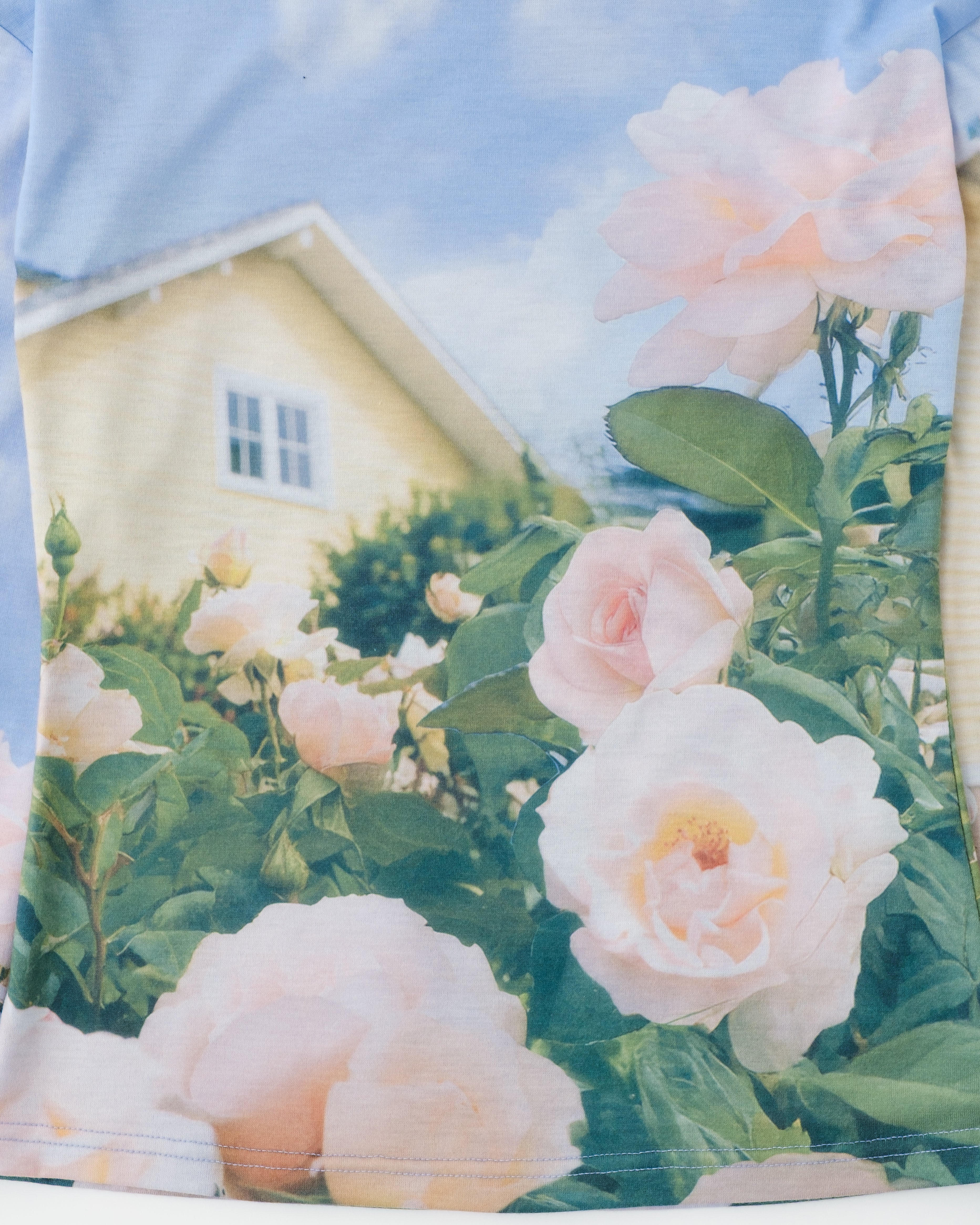 <b>POPUP先行販売</b><br>Captured scenery top