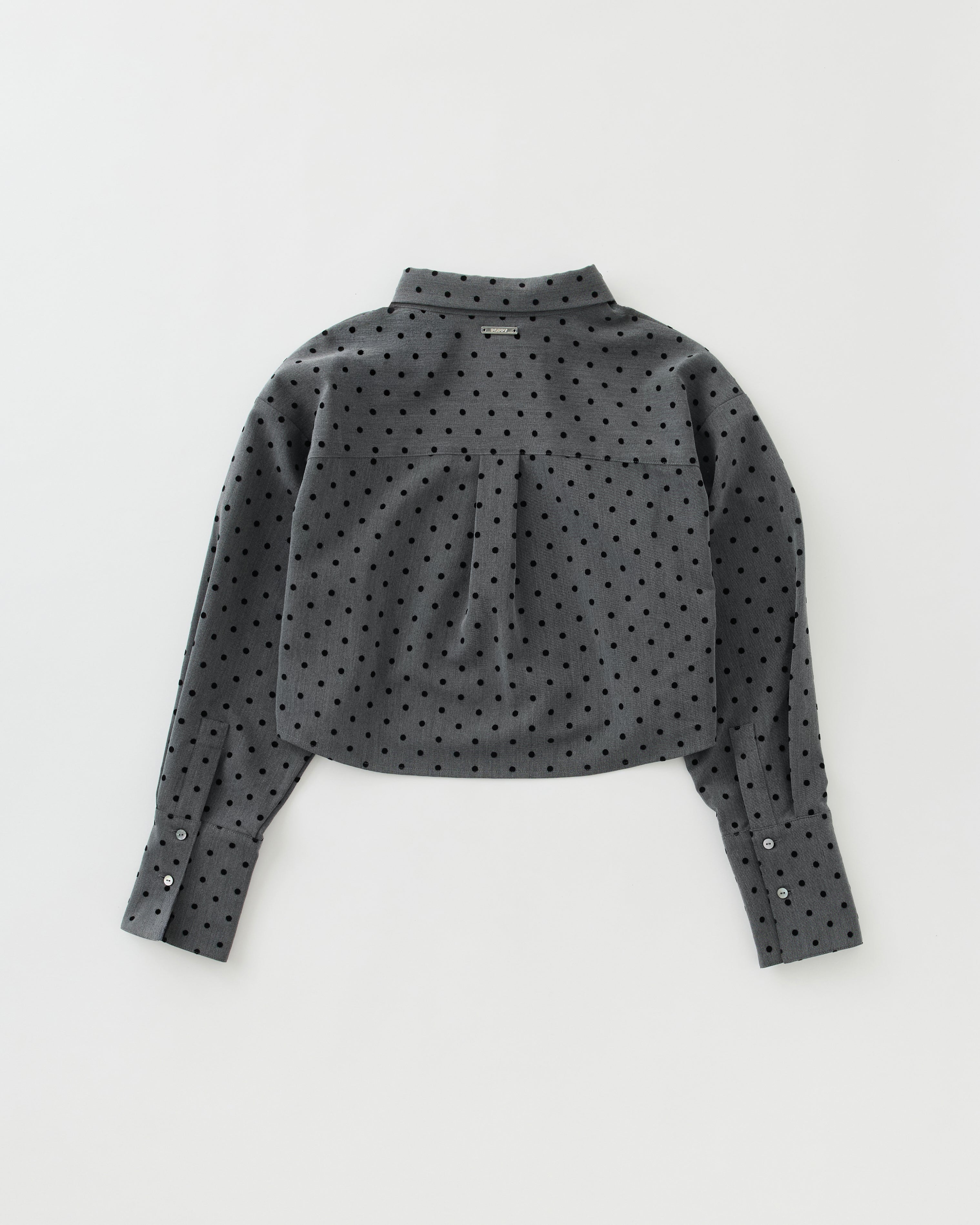 2way ribbon tie cropped shirt