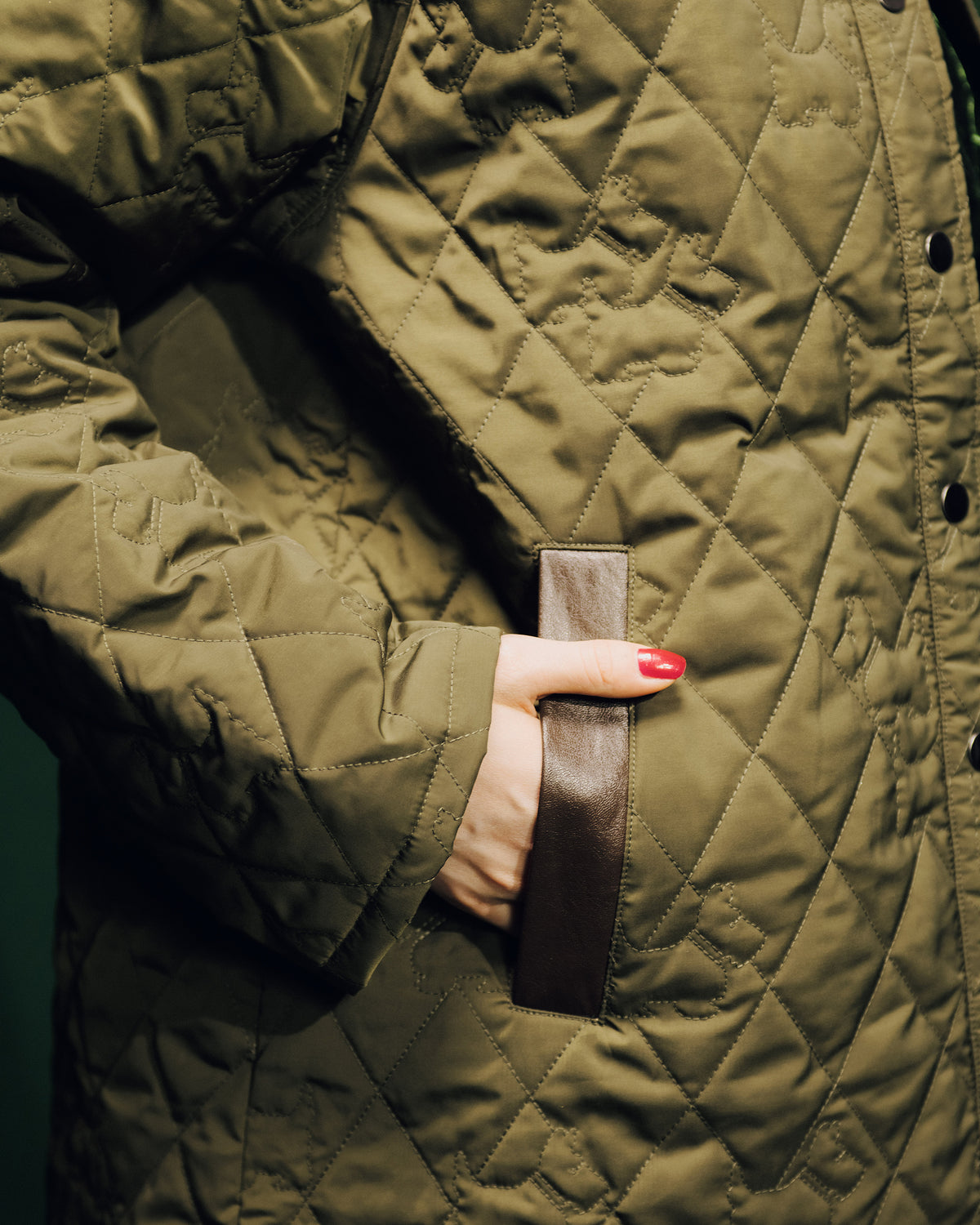 Achi-Cochi schnauzer quilted coat