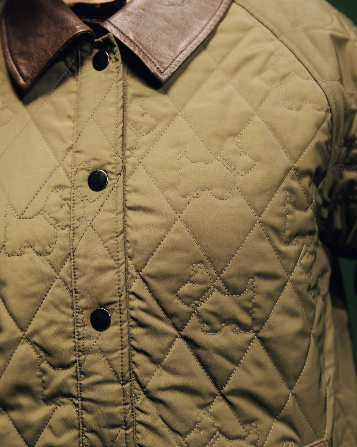 Achi-Cochi schnauzer quilted coat