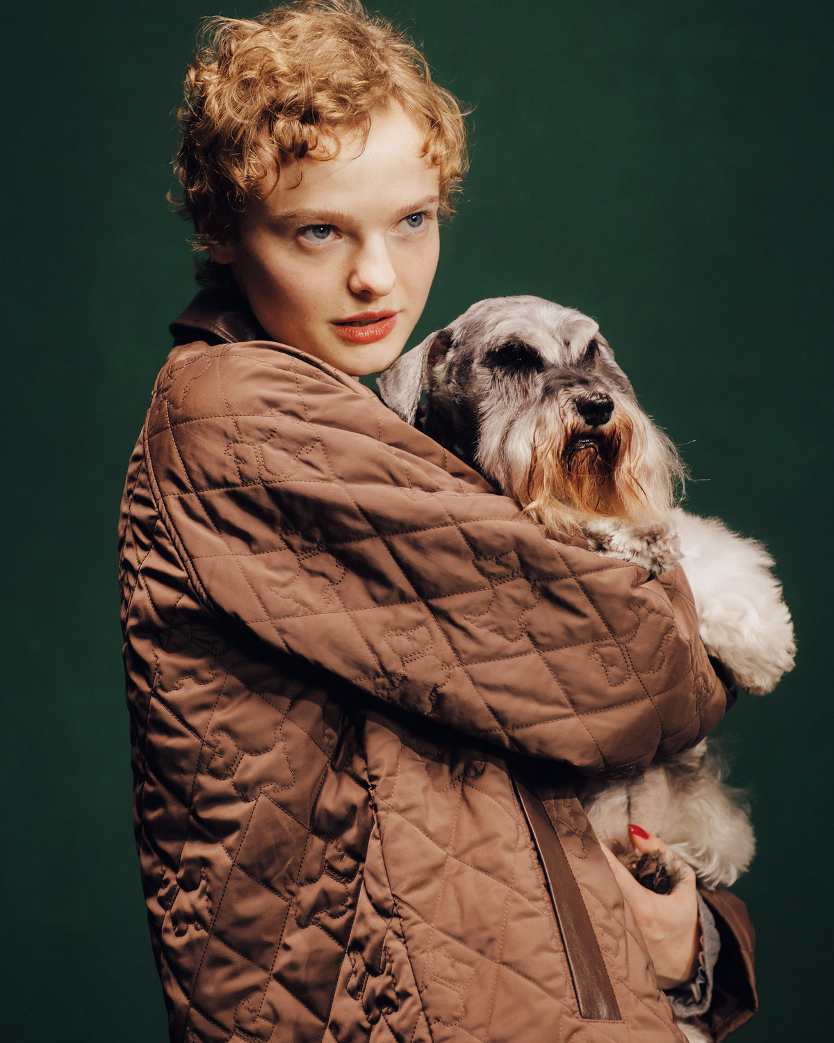 Achi-Cochi schnauzer quilted coat