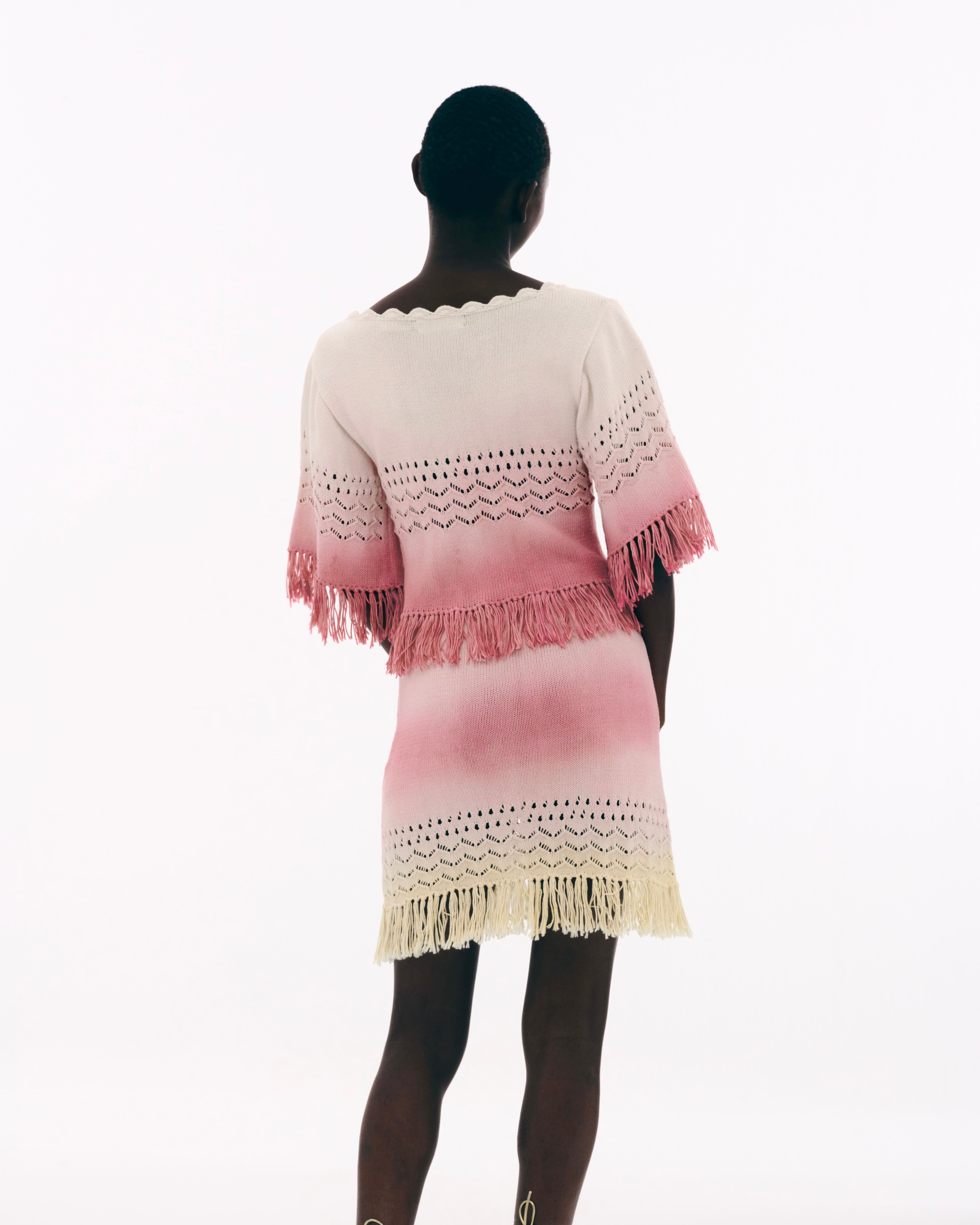 <b>AYNI</b><br>PINTE skirt