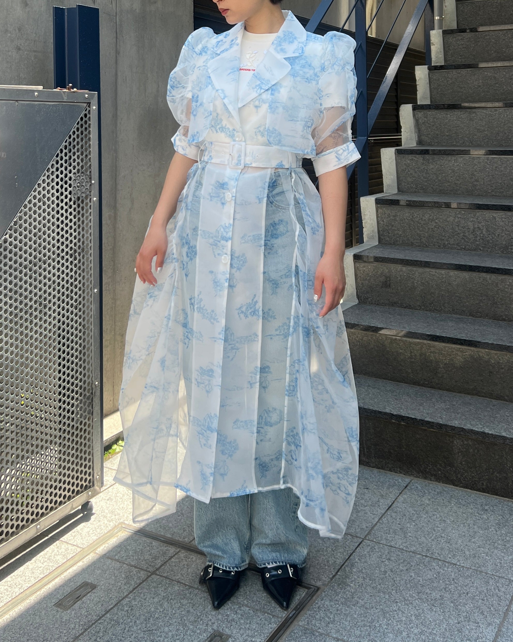 Toile de Jouy organdy dress coat dress