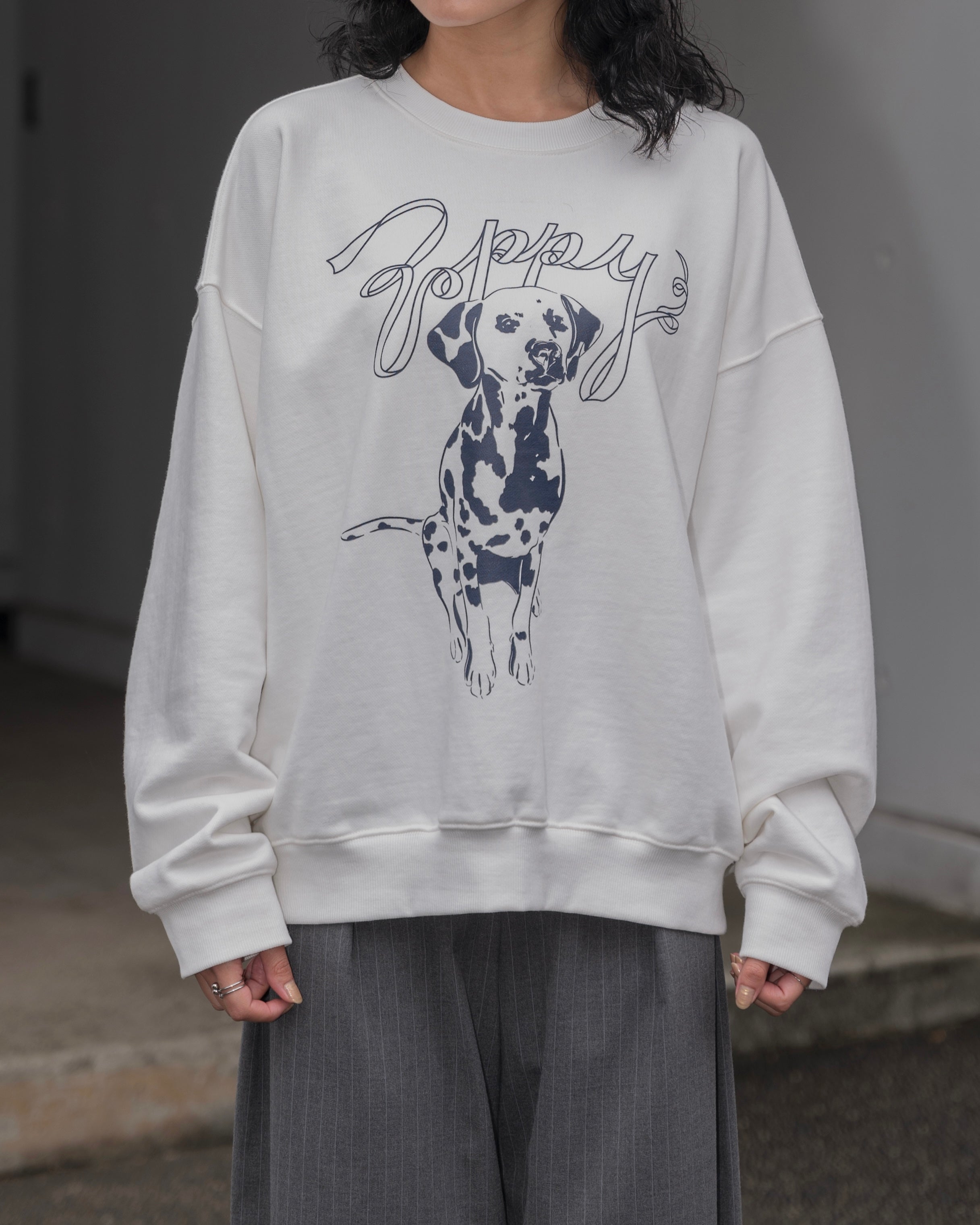 Dalmatian sweatshirt