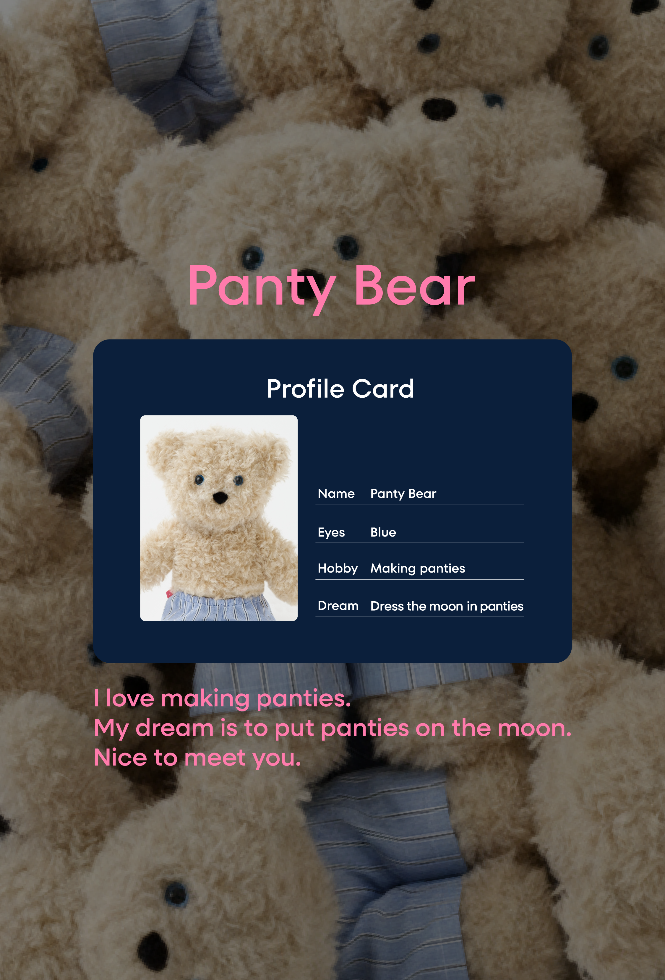Panty-Bear sweatshirt Panty-Bear sweatshirt